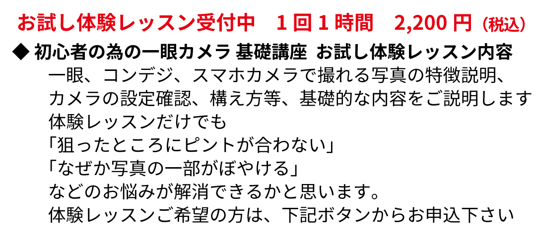 お試し体験レッスン受付中 初心者の為の一眼レフカメラ 基礎講座 お試し体験レッスン レッスン内容 一からカメラ